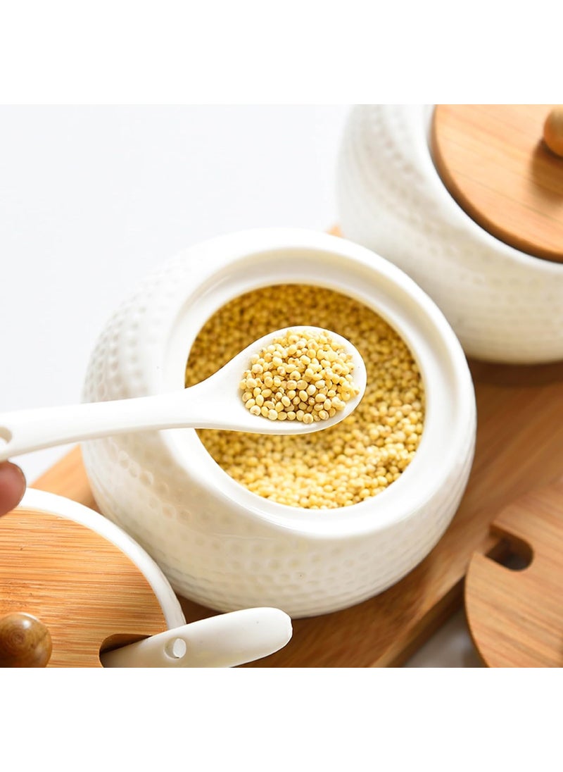 TOMATUS Condiment Jar Spice Container with Bamboo Lids Tray Ceramic Serving Spoon Set of 3 White 170ml58 OZ Perfect Spice Storage for Home Kitchen