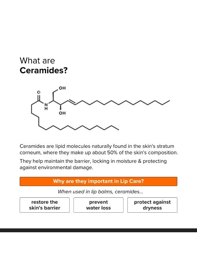 Minimalist Ceramide Lip Balm - Image 5