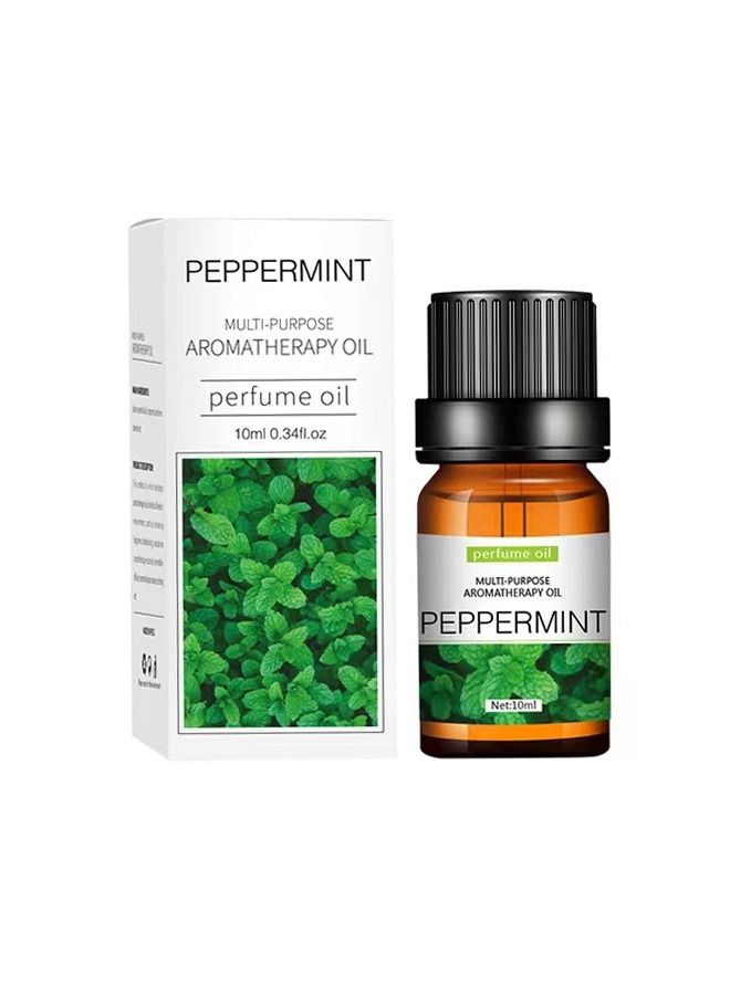 Pack of 5 Natural and Pure Premium Multi Scented Diffuser Aromatherapy Oil - Image 3