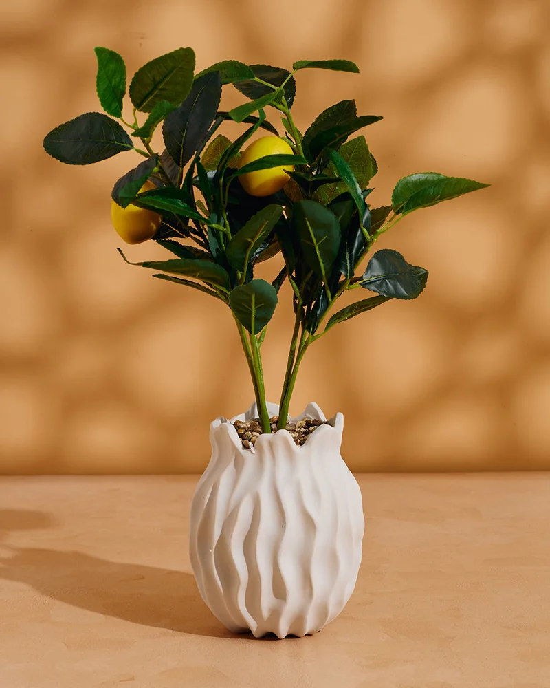REDTAG Green Artificial Plant In White Ceramic Pot