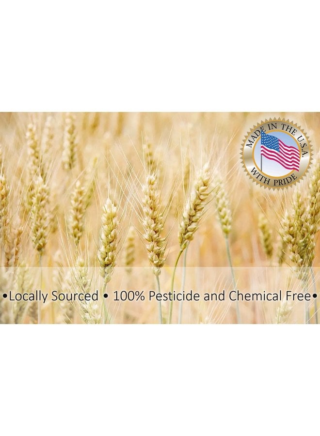 2 رطل من نخالة القمح لمغذيات الديدان الوجبة والديدان العملاقة من Five-Star Feeders، 32 أونصة - Image 2