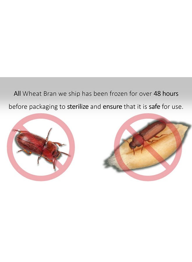 2 رطل من نخالة القمح لمغذيات الديدان الوجبة والديدان العملاقة من Five-Star Feeders، 32 أونصة - Image 4