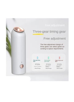 Generic Indoor Air Purifier 45 ml with Free Perfume Bottle (light green)  - Image 2