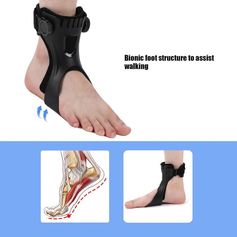 klarako AFO Ankle Brace,  Drop Foot Brace Orthosis Foot Drop Orthosis AFO Ankle Brace for Hemiplegia Stroke Shoes Walking(L-Right) - Image 5