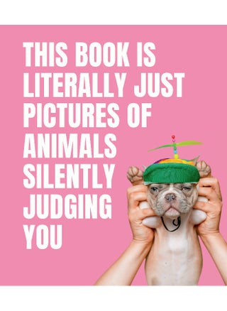 This Book is Literally Just Pictures of Animals Silently Judging You - pzsku/Z09E4CCE7B297D5EDBDAAZ/45/1746185640/f48ffb68-58c6-4a21-9966-ea7ec1303f11