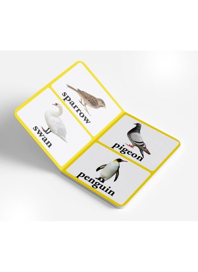 Wonder House Books Birds - Early Learning Board Book With Large Font : Big Board Series