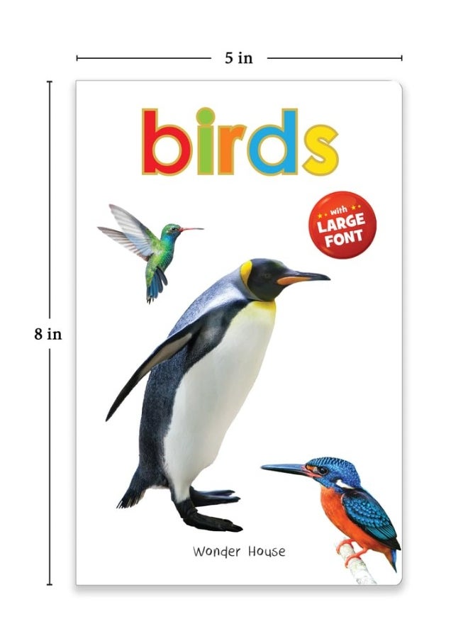 Wonder House Books Birds - Early Learning Board Book With Large Font : Big Board Series