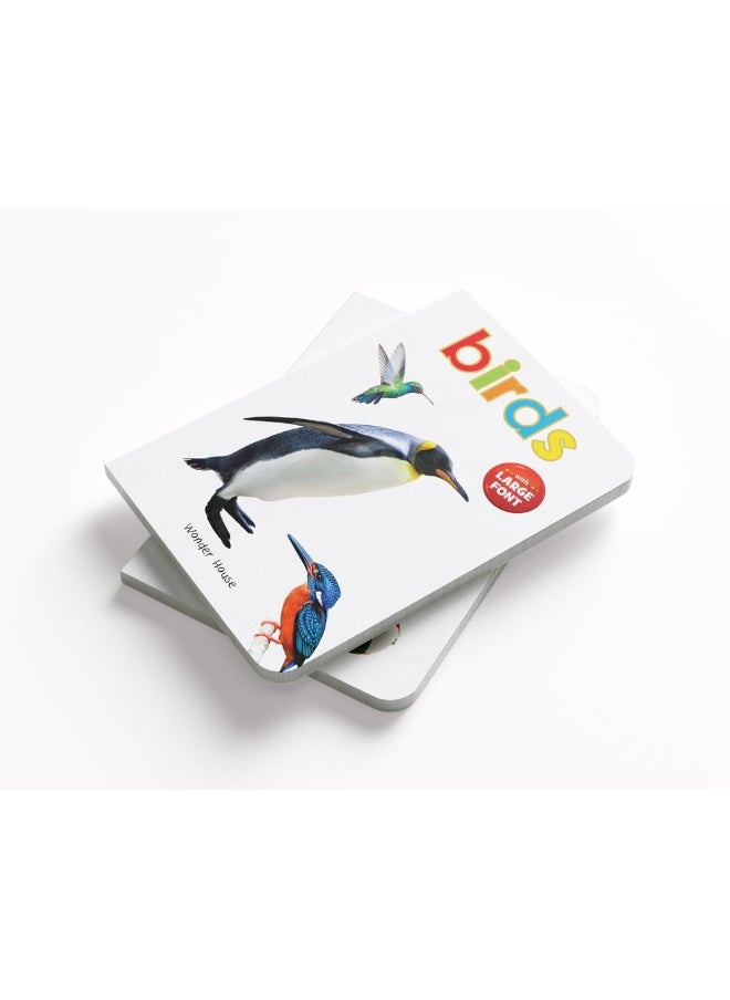 Wonder House Books Birds - Early Learning Board Book With Large Font : Big Board Series
