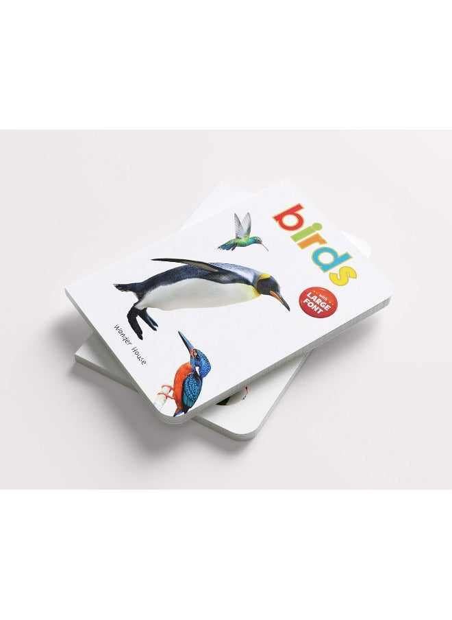 Wonder House Books Birds - Early Learning Board Book With Large Font : Big Board Series