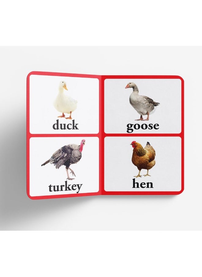 Wonder House Books Birds - Early Learning Board Book With Large Font : Big Board Series