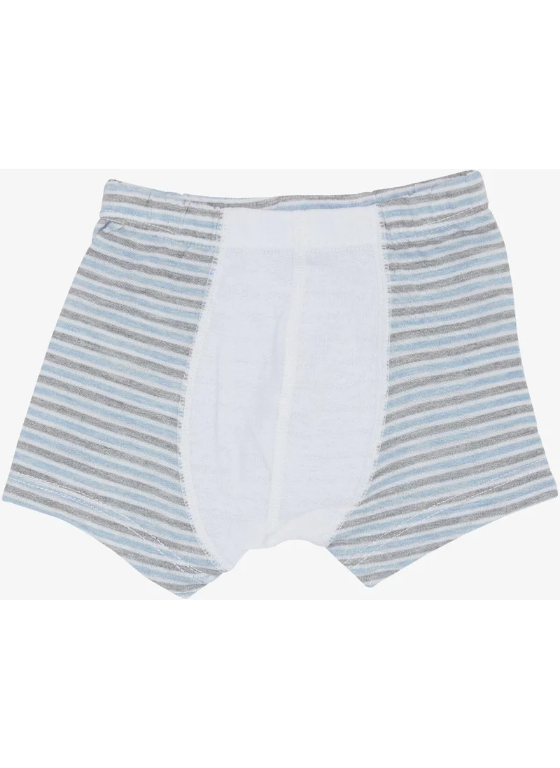 كاتامينو Boy Boxer Striped Mixed 1-3 Years, Mixed Color