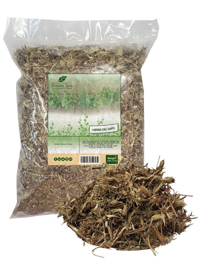 Naturejam Hierba Del Sapo - 1 Pound 16 OZ Mexican Thistle aka Frog Grass - Image 1