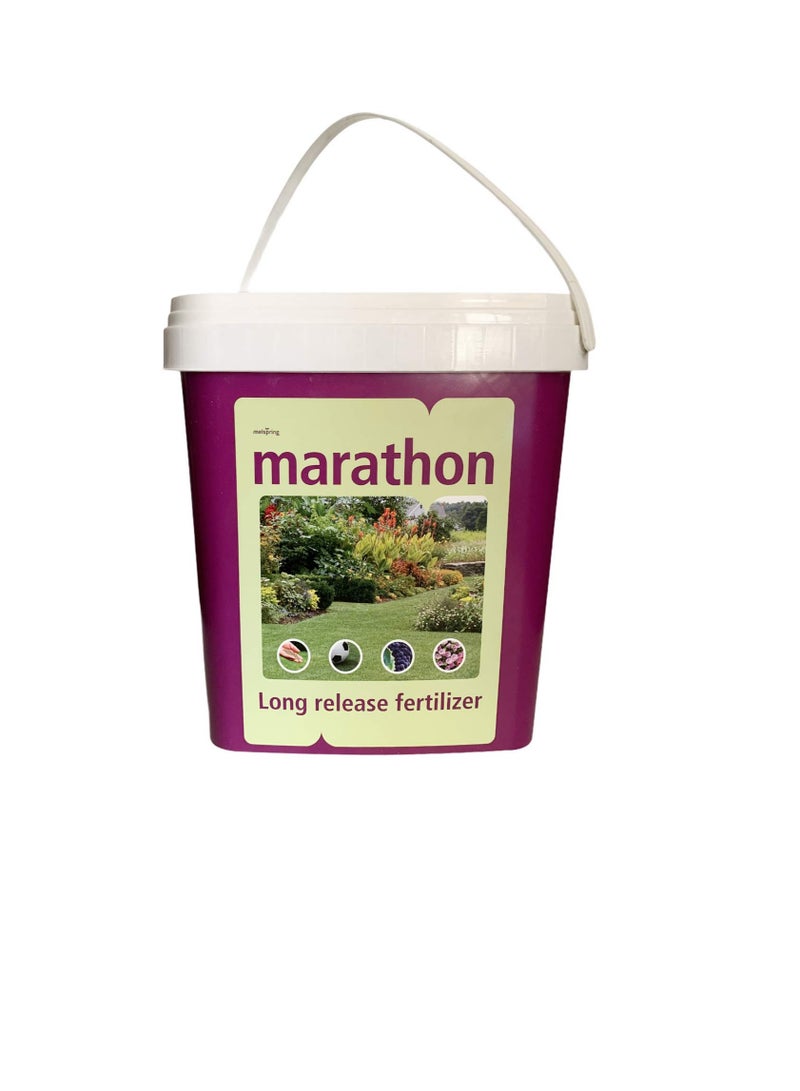 ماراثون تركيبة سماد ماراثون طويلة المفعول NPK 16-4-8 + 2MgO + 0.50Fe 3.5 كجم - Image 1