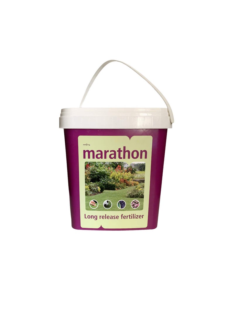 ماراثون تركيبة سماد ماراثون طويلة المفعول NPK 16-4-8 + 2MgO + 0.50Fe 3.5 كجم - Image 3