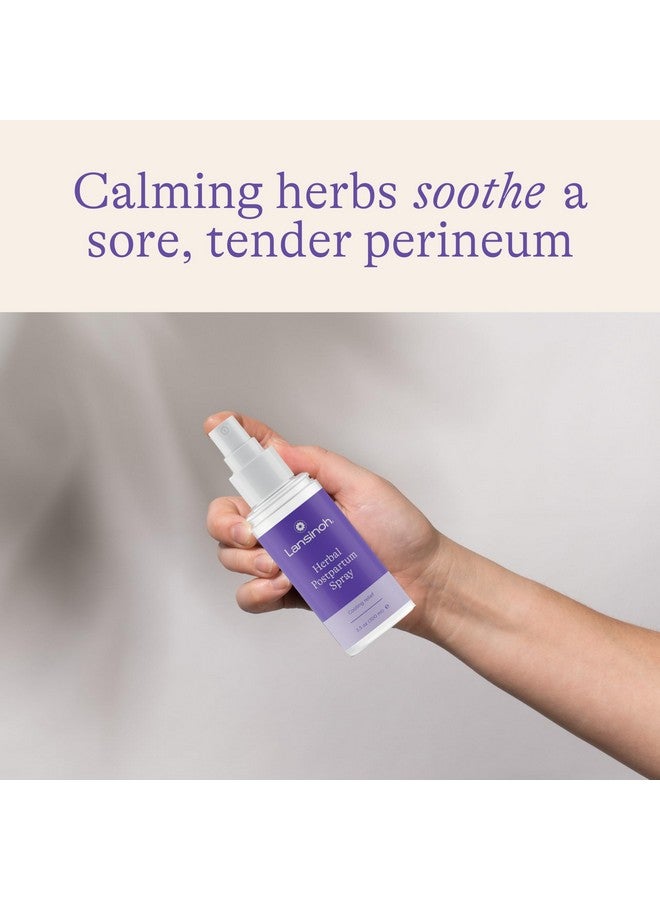 Lansinoh Lansinoh Herbal Perineal Spray, Postpartum Essentials, 3.5 Ounces  - Image 1