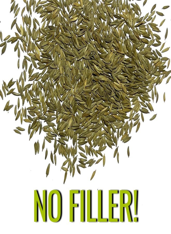 Seed Needs Dandelion Seeds for Planting Fresh Herbs | 10,000+ Untreated Seeds Non GMO Heirloom | Bulk Dandelion Seed | Herb Garden Variety Produces Edible Plants - Image 5