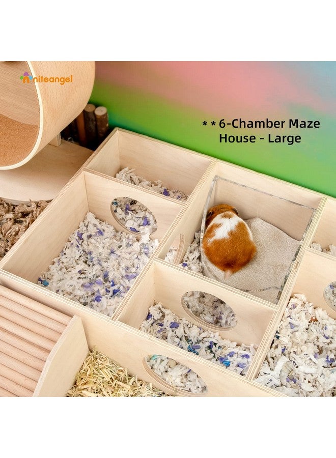 نيتينجيل صندوق حمام رمل للحيوانات الصغيرة من نايت أنجل - حاوية حمام رمل أكريليكية لغرفة الاستحمام وحاوية رمل حفر للهامستر والفئران والليمينغ والجربوع أو غيرها من الحيوانات الأليفة الصغيرة (على شكل مروحة، شفاف) - Image 3