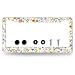 MUAWUOIK Colorful Flowers License Plate Frame Folk Floral License Plate Decoration Stainless Steel Personalise Flower License Plate Holder Women Cars Accessory with Screws 12x6 Inch - Image 2