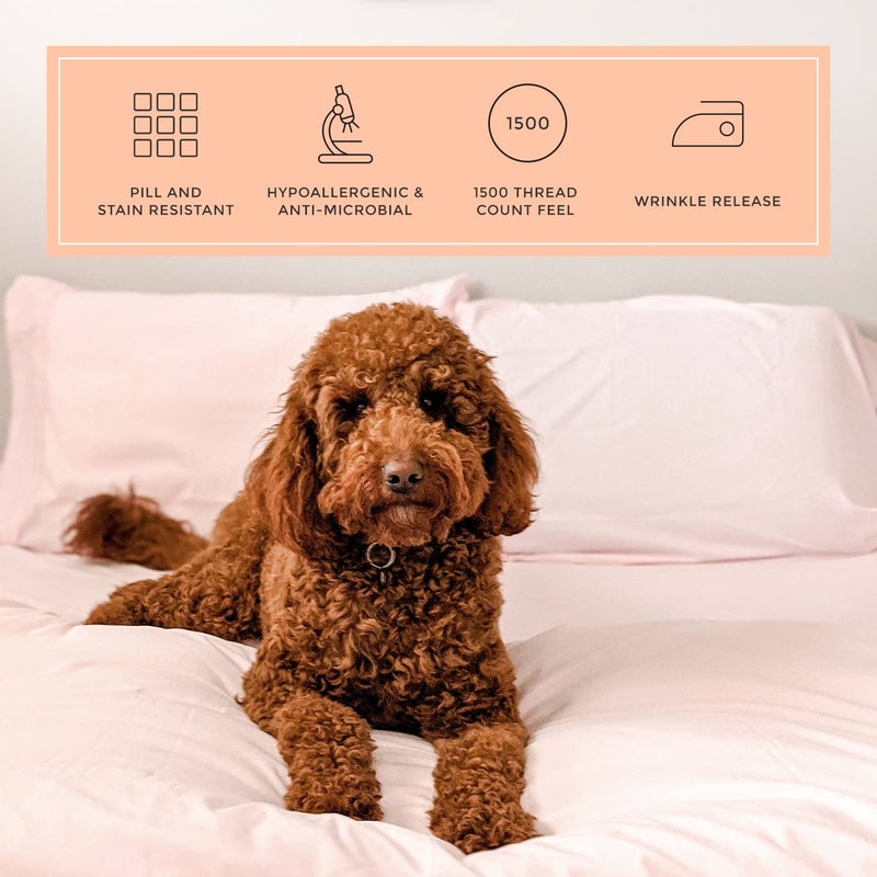 PeachSkinSheets مجموعة ورقة Peachskinsheets Cotton حلوى الوردي - مستوى 1500TC من النعومة - أوراق تبريد ناعمة إضافية للنوم الساخن والتعرق الليلي - XL بالحجم الكامل  - Image 4