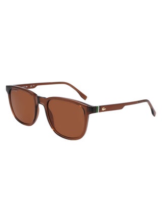 TRANSPARENT BROWN