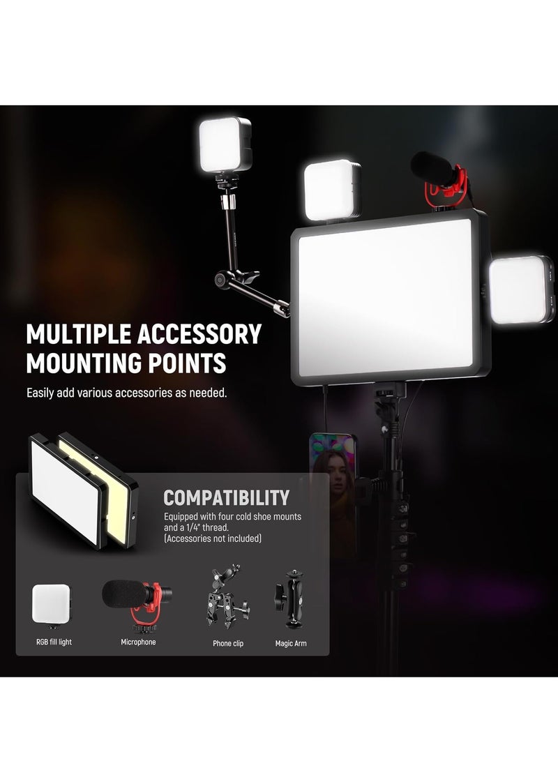 نيوير مجموعة إضاءة LED فيديو NEEWER BASICS 2 حزمة مع 2 حامل 59 بوصة و 2 حامل هاتف، 850lx/0.5m ثنائي اللون 2700K-6500K إضاءة استوديو قابلة للتعتيم للتصوير الفوتوغرافي والتصوير المباشر، BP300 - Image 3