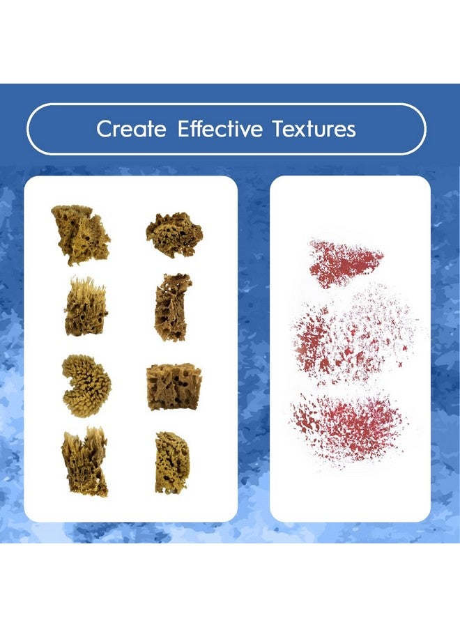 Naroa Artist Natural Sea Sponges For Painting 8 Pack | Unbleached Unique Sponges Set | Acrylic Watercolor, Marbling, Texturing, Pottery, Ceramics - Image 3