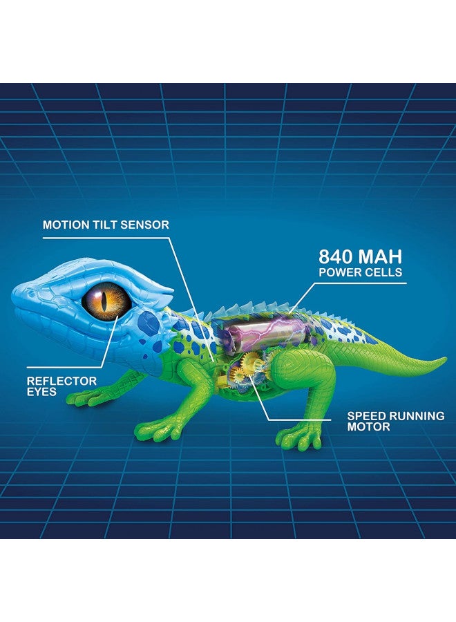 ROBO ALIVE زواحف روبو أليفي زاحف سلسلة 2 أحمر أزرق من زورو لعبة إلكترونية تفاعلية روبوتية تعمل بالبطارية تتحرك (أحمر أزرق) - Image 4