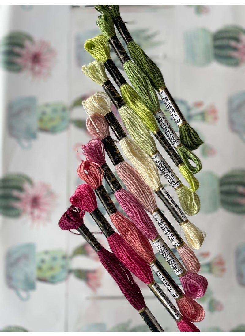 Anchor - Bibu Muline Embroidery Floss Specially Selected Pink and Green Shades - Image 1