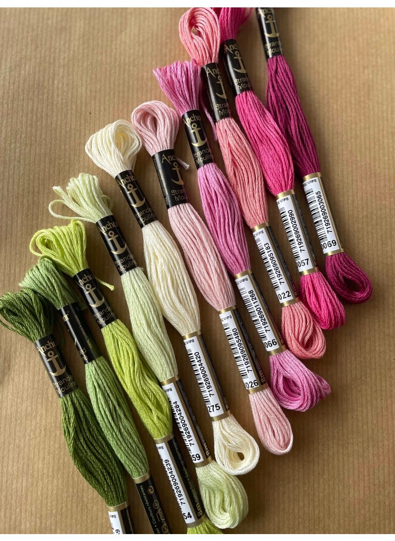 Anchor - Bibu Muline Embroidery Floss Specially Selected Pink and Green Shades - Image 1