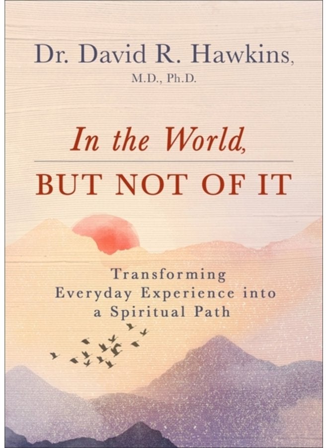 In the World But Not of It Transforming Everyday Experience into a Spiritual Path - Paperback