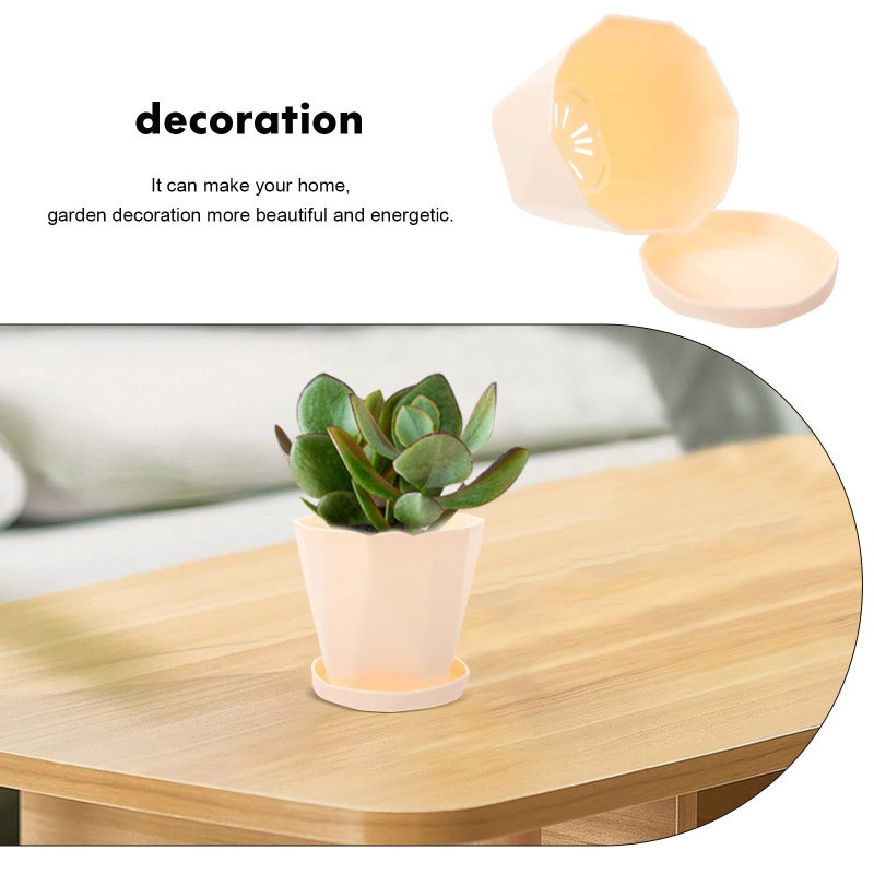 White Biodegradable Aloe Succulent Plant Pot with Tray for Indoor Patio Gardening - Image 5