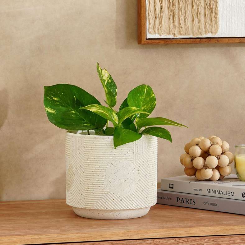 Pan Home وعاء ميدوري من الطين - أبيض