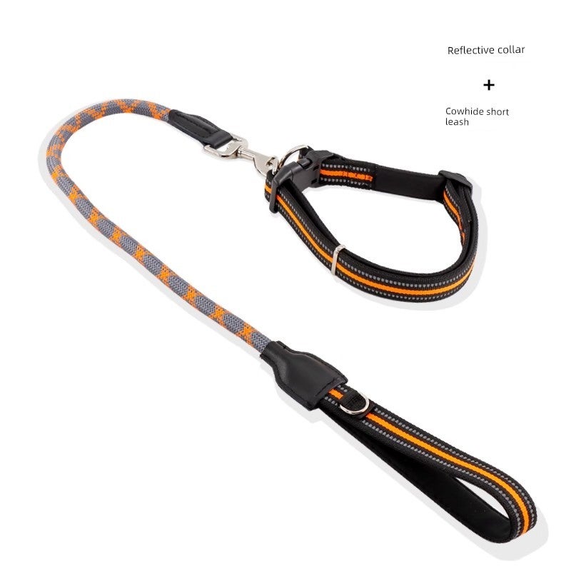 Explosion-proof training dog short dog leash Border Collie Golden Retriever Alaska Labrador walking dog leash dog chain - Image 4