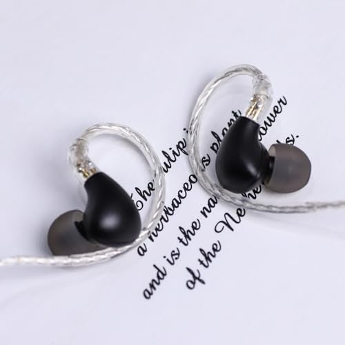 Linsoul لنسول BLON BL03 II سماعة أذن داخلية، سائق ديناميكي مزدوج الغرفة 10 مم، سماعات هاي فاي سلكية مع كابل قابل للفصل 2Pin للموسيقيين وعشاق الصوت (Type-C مع ميكروفون، أسود) - Image 3