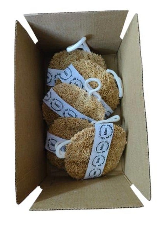 rdassociates ® Round shaped natural Loofah 100% Natural Body Scrubber Loofah for Bathing Pack of 5 - Image 4