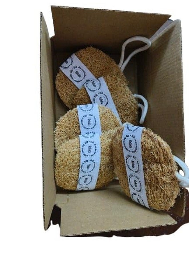 rdassociates ® Round shaped natural Loofah 100% Natural Body Scrubber Loofah for Bathing Pack of 5 - Image 3