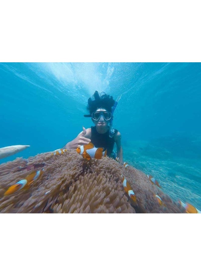 Wondergifts Discovery Scuba Dive Adventure for One in Palm Jumeirah Experience Gift with Free Spa Gift Box  - Image 3