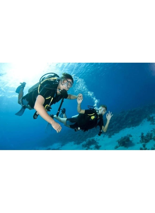 Wondergifts Discovery Scuba Dive Adventure for One in Palm Jumeirah with Free Spa Gift Box - pzsku/Z09F98E739C3BFFFB6E7CZ/45/_/1738653648/12a2e128-ec33-4a7b-8b87-bedcecc3d6b4