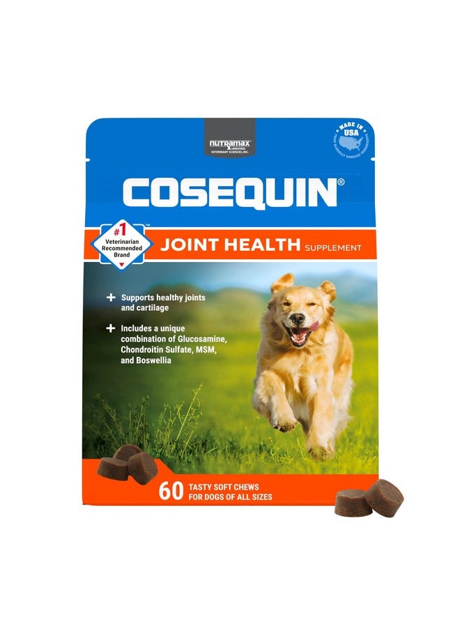 Nutramax Laboratories Nutramax Laboratories Cosequin DS Plus MSM Professional Line for Dogs, 60 soft chews  - Image 1