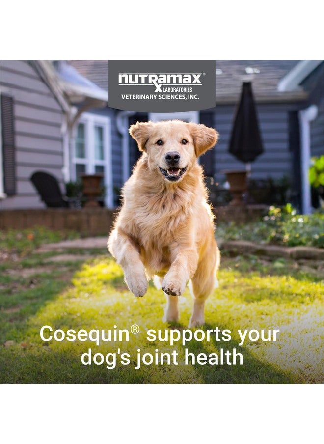 Nutramax Laboratories Nutramax Laboratories Cosequin DS Plus MSM Professional Line for Dogs, 60 soft chews  - Image 3