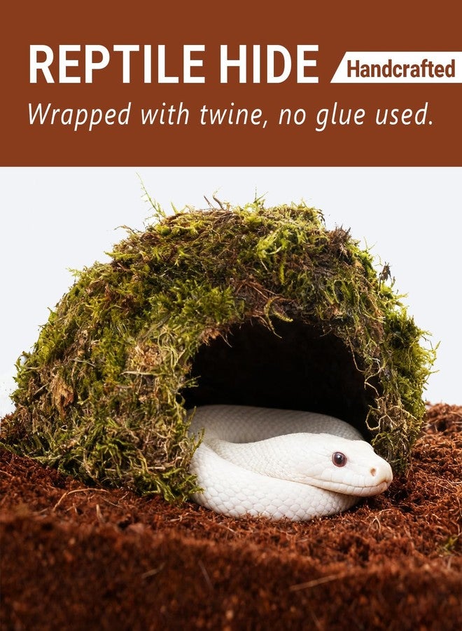 ORBIDYN Reptile Hides and Caves - Leopard Gecko Tank Accessories, Natural Dome Reptile Cave & Shelter, Gecko Tank Accessories & Hermit Crab Shelter, Hamster Cage Accessories - Image 2