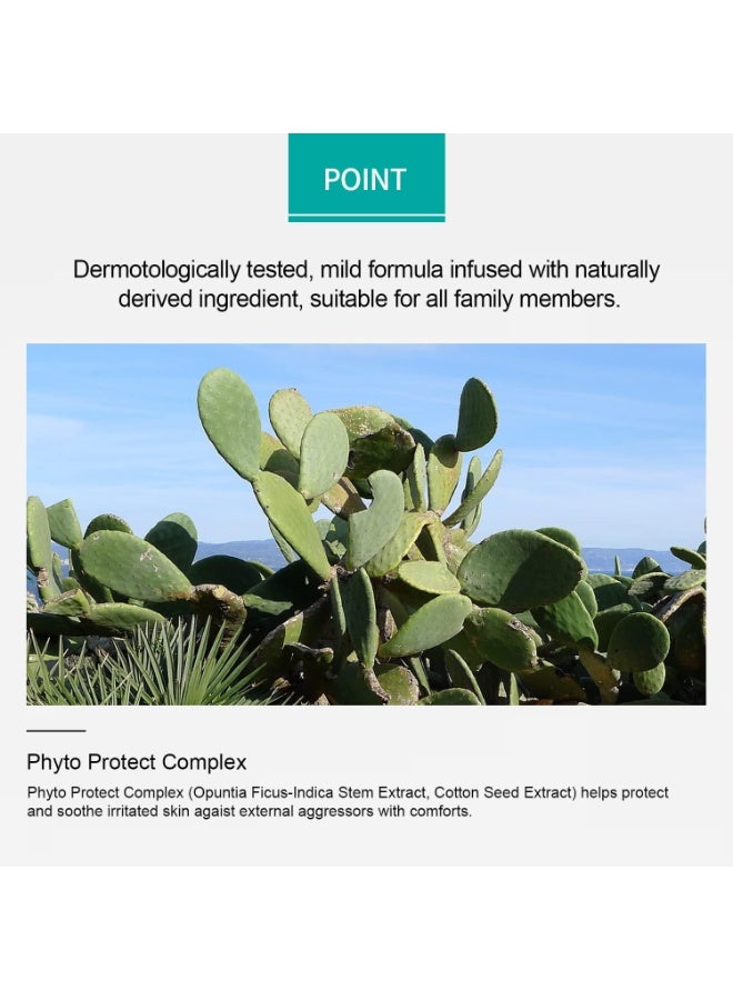 أيه أتش سي ستيك واقي من الشمس بطبقة مزدوجة ناتشورال بيرفيكشن SPF50+ PA++++ IR - 14 gm - Image 5