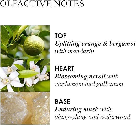 MOLTON BROWN غسول يد سائل فاخر من مولتون براون بالبرتقال والبرغموت 300 مل - Image 2