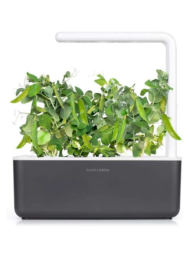 Click & Grow Click & Grow Plant pod 3-pack Dwarf Pea