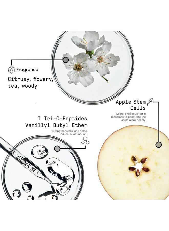 framesi Morphosis Densifying Activator Treatment For Thinning Hair  - Image 4