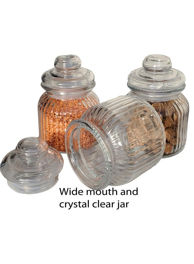 Pure Source India جرّة تخزين زجاجية من مصدر نقي - 1000 مل، قطعة واحدة، شفافة - Image 3