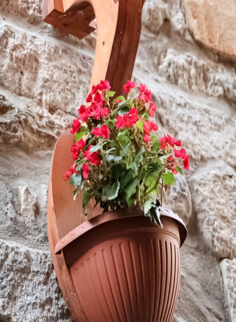 GGOOT 1 Bag Begonia Seeds,Aesthetic Easy to Grow Seeds Natural Flower Seeds for Planting Garden Yard Outdoor 1 Begonia Seeds - Image 5