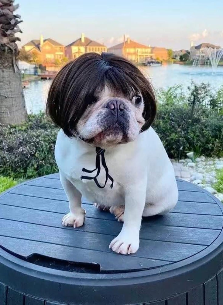 Dog Wig Costume Suitable for Small and Medium-Sized Dogs, Wig Can Be Trimmed, Pet Cosplay Cat Decoration - Image 3
