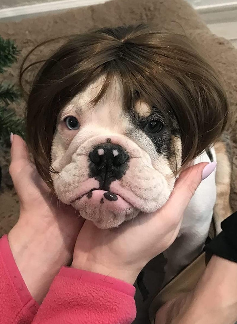 Dog Wig Costume Suitable for Small and Medium-Sized Dogs, Wig Can Be Trimmed, Pet Cosplay Cat Decoration - Image 4