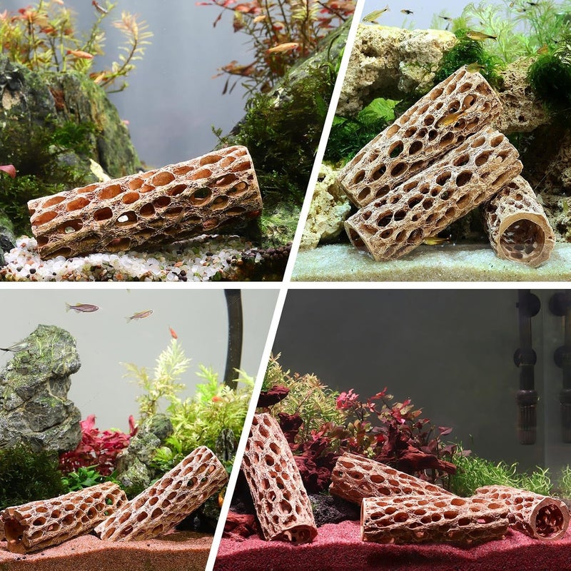 TERRIFI 6" Resin Cholla Wood Aquarium Décor - Realistic Shrimp Hideout & Climbing Toy for Fish Tank, Durable Natural Look Aquatic Terrarium Ornament, Small Shrimp Shelter, 2pcs - Image 2
